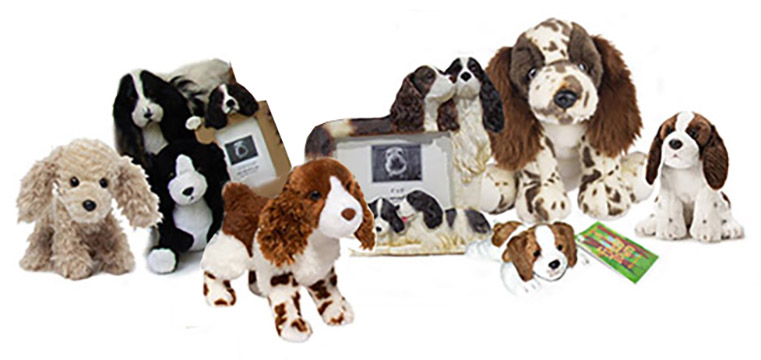 springer_spaniels