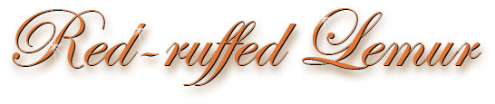 red_ruffed_title