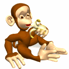 animated monkey