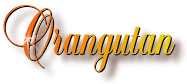 orangutan_title