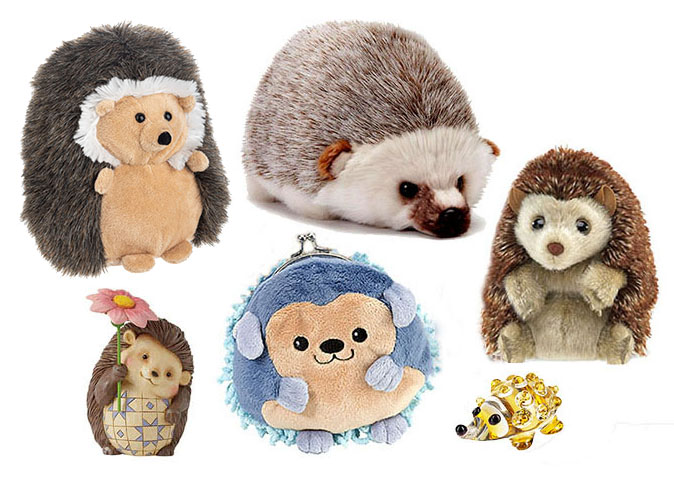 hedgehogs