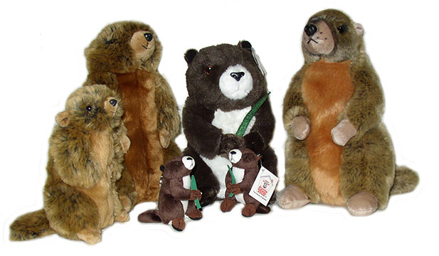 marmots