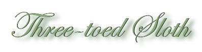 sloth_title